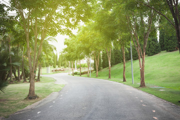 Empty curved road with natural trees.