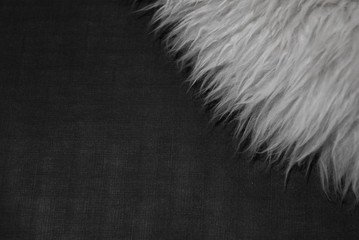 White fur texture