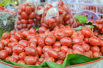 Wild Olive in the North of Thailand