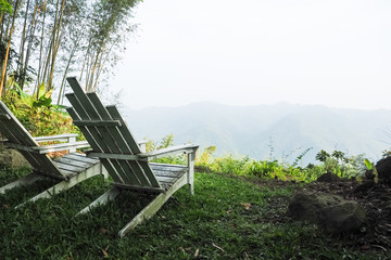 wooden chair in forest