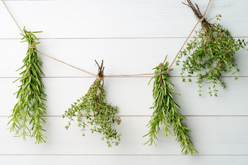 Single twigs of Thyme and Rosemary