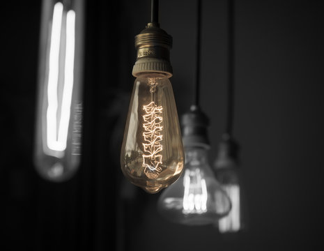 Hanged light bulbs split tone color with black and white