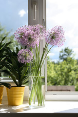 Flowers On Window-Sill