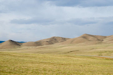 Fototapeta na wymiar モンゴルの草原