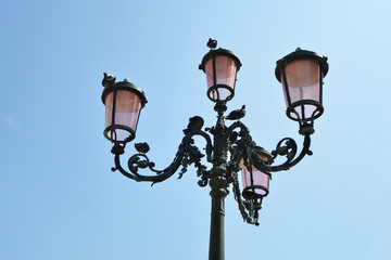 Fototapeta na wymiar streetlamp from below