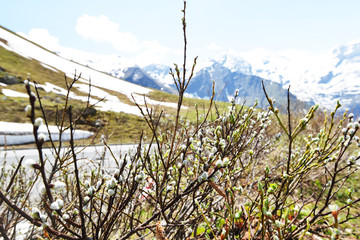 capped mountain peaks