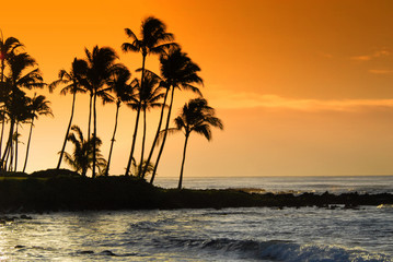 Fototapeta na wymiar Hawaii Paradise.