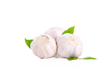 Garlic Isolated on White.