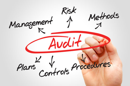 Audit chart, business concept