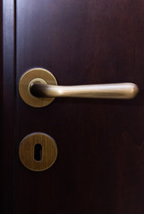 Obraz premium A door handle dark wood front view