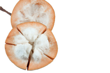 Santol fruit in white background