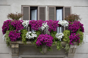 Fototapeta na wymiar Flowered balcony