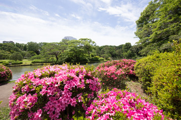 六義園（りくぎえん）