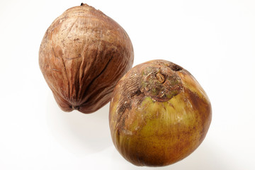Coconut isolated on white Background