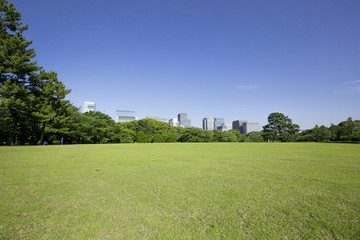 Fototapeta na wymiar 皇居東御苑からの大手町ビル群の眺め