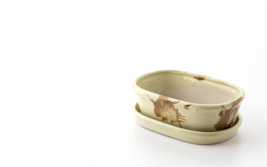 small potted isolated on white background