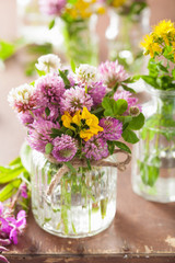 colorful medical flowers and herbs in jars