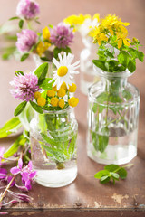 colorful medical flowers and herbs in jars