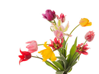 beautiful colorful bouquet of tulips