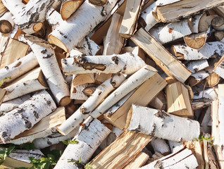 birch firewood