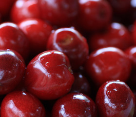 red sweet cherry 