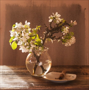Fototapeta daffodils