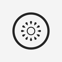 fruits kiwi icon