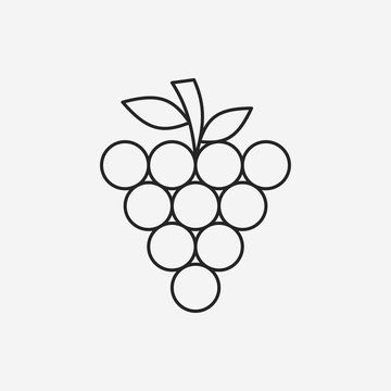 fruits grape line icon