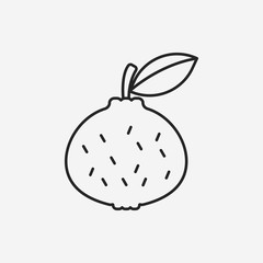 fruits orange line icon