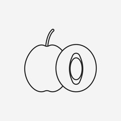 fruits plum line icon