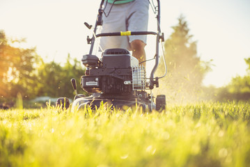 Young man mowing the grass