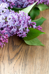 lilac on wooden surface