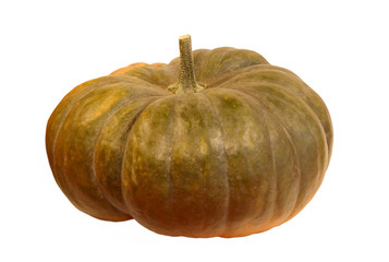 Ripe green pumpkin.Isolated.