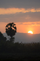 ASIA MYANMAR MYEIK LANDSCAPE