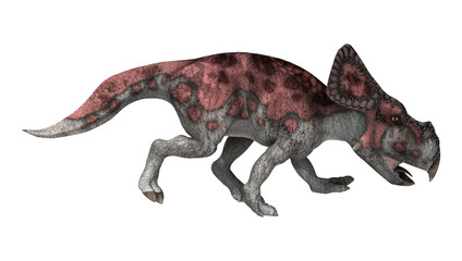 Dinosaur Protoceratops