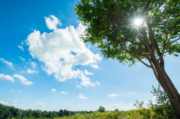 field and blue sky