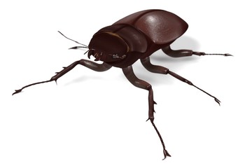 3d render of lucanus cervus