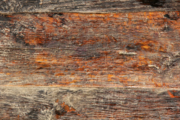 Old wooden surface as background.