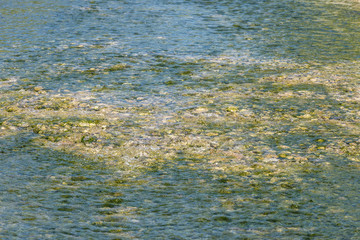 River with rocks as background