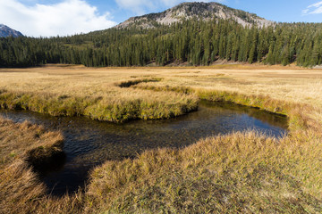 Upper Meadow im Lassen Volcanic National Park