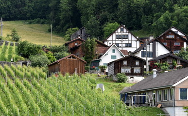 Obraz premium un petit coin de paradis....walensee