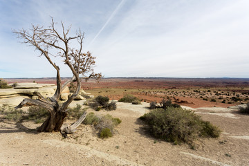 in Utah