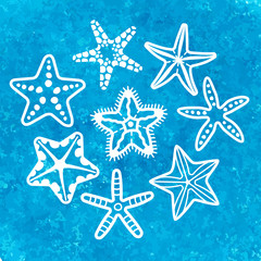 Fototapeta na wymiar Vector collection of various sea starfish
