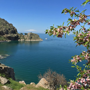 Akdamar island in van lake, turkey