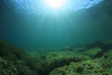 Fototapeta na wymiar Underwater landscape