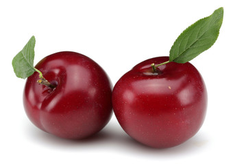 Red Plum