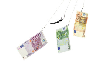 Passwort und Geld werden gestohlen