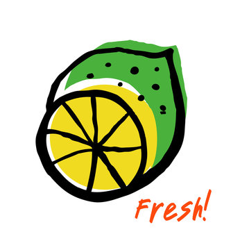 Sketch of fresh lime. Drawn isolated fruit in grunge style