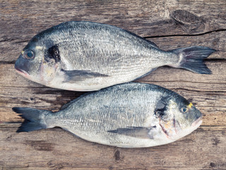 Two dorado fishes on the wooden background