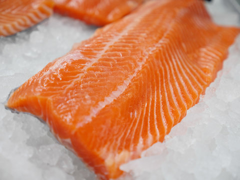 Salmon Fillet On Ice